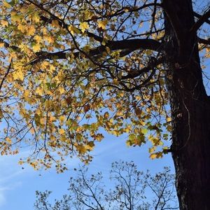 Meet your Posher, Alyson